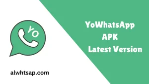 yoWhatsApp APK